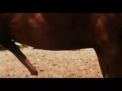 వంకర MILF వంగి మరియు తెలుగు సారీ సెక్స్ వీడియోస్ ఒక పెద్ద డిక్ ట్రానీ ద్వారా కొట్టబడింది